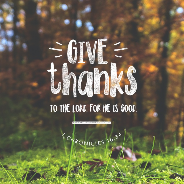 We have many reasons to give God thanks. - YouVersion