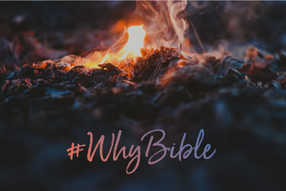 what-does-the-bible-mean-to-you-youversion