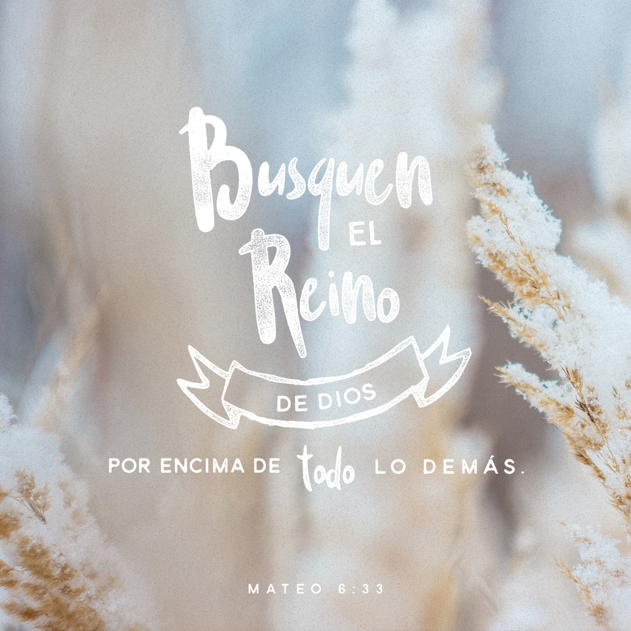 Ahora puedes obtener Imágenes de Versículo en español para el Versículo del  Día. - YouVersion