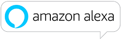Amazon Alexa Badge